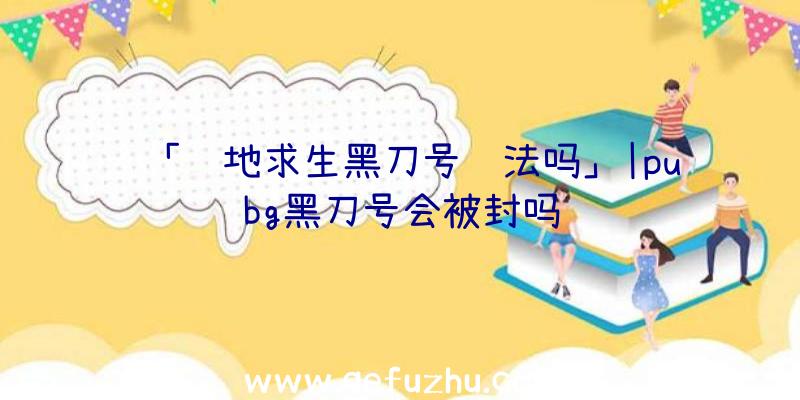 「绝地求生黑刀号违法吗」|pubg黑刀号会被封吗